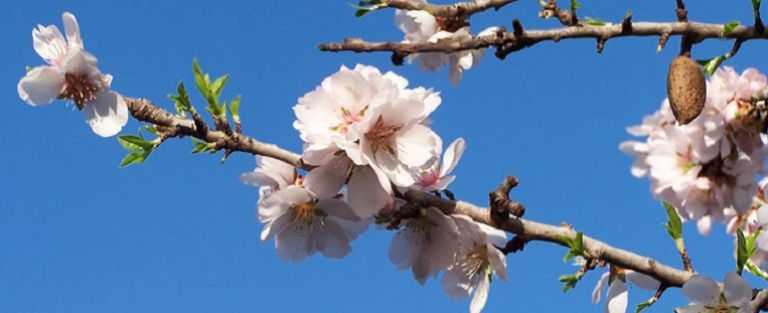 Esercizi Spirituali di Quaresima 2013